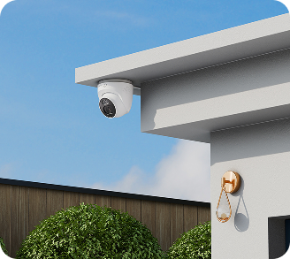 Security Surveillance